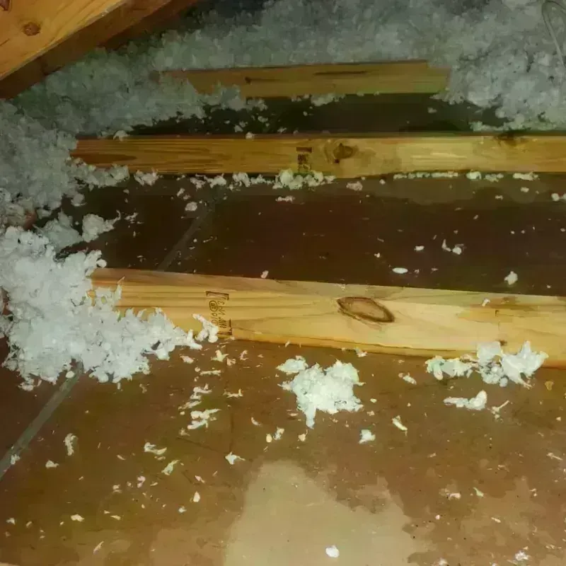 Attic Water Damage in Dripping Springs, TX